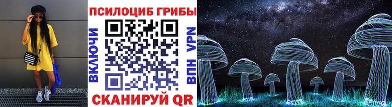 Псилоцибиновые грибы GOLDEN TEACHER  OMG ссылка  Шуя  купить  