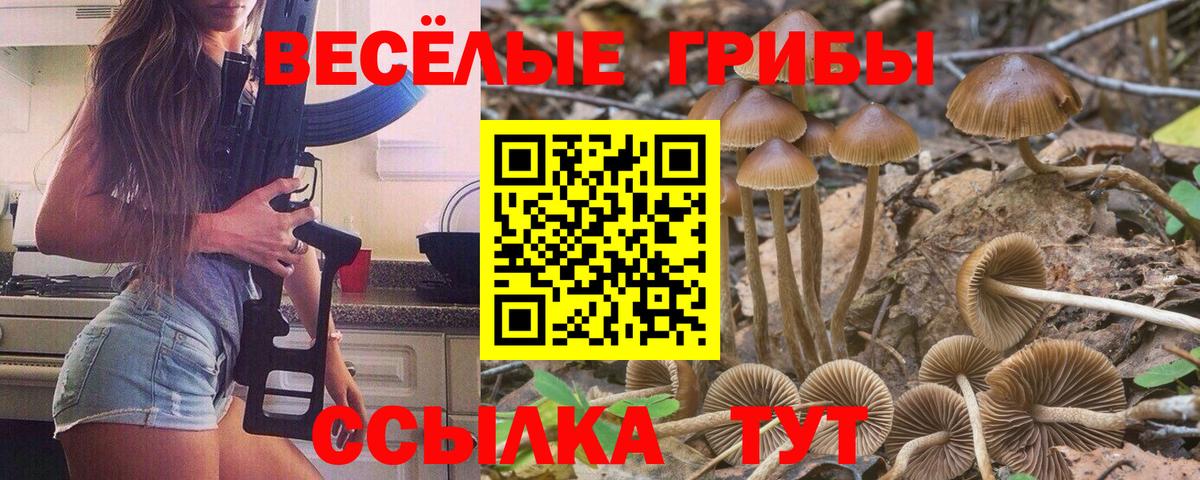 Шуя  Галлюциногенные грибы GOLDEN TEACHER  Вход с VPN 